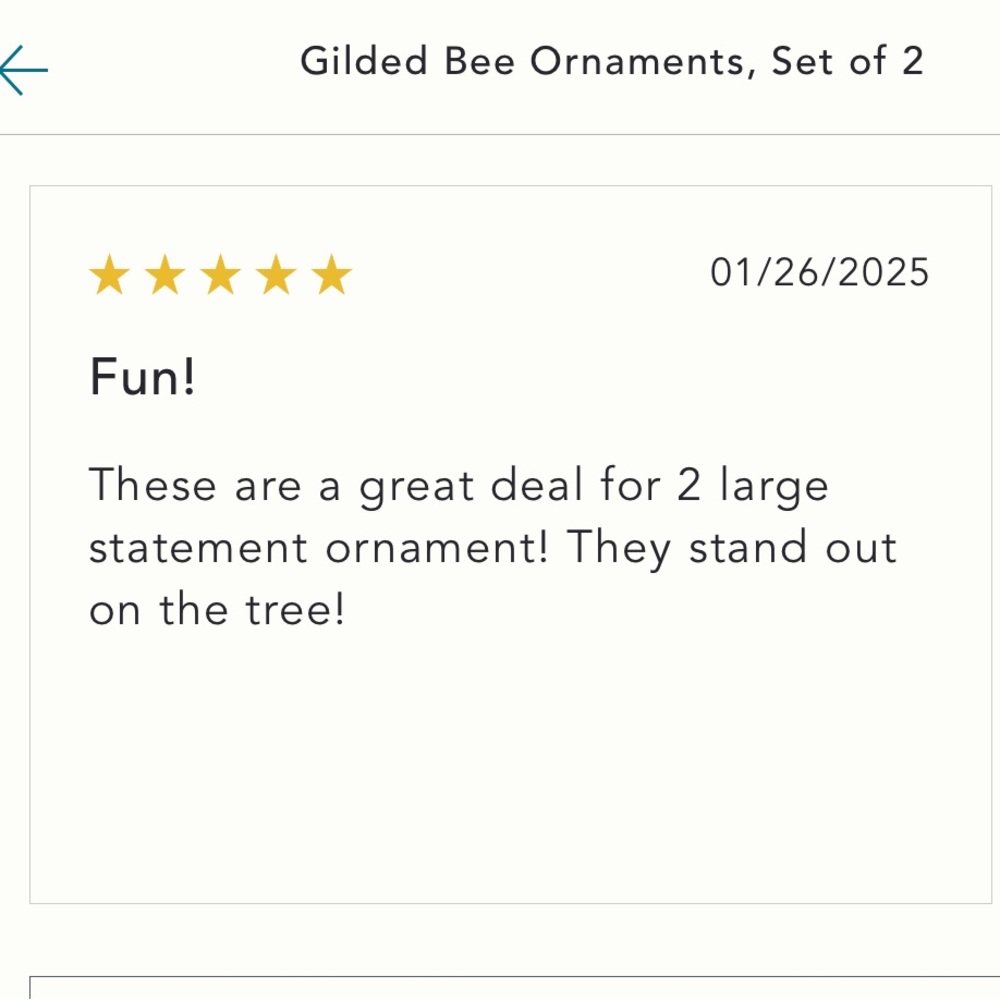 Gilded Bee 🐝 Holiday Ornaments set of 2 - Picture 7 of 8